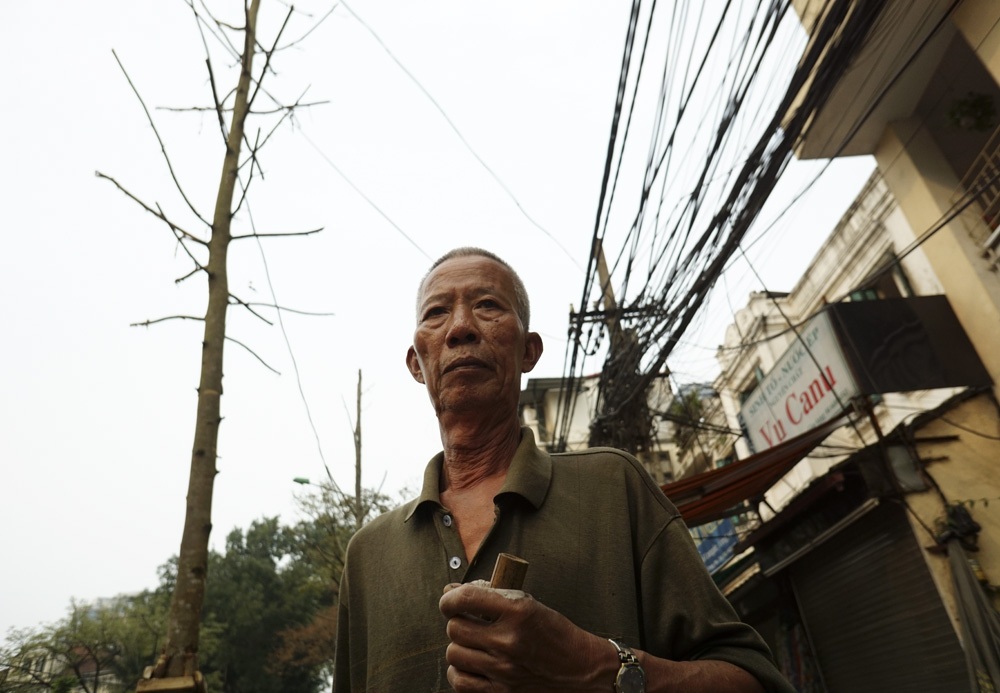 Một đoạn phố với những cây trồng mới chỉ có thân cành làm trơ lộ bê - tông của những ngôi nhà.