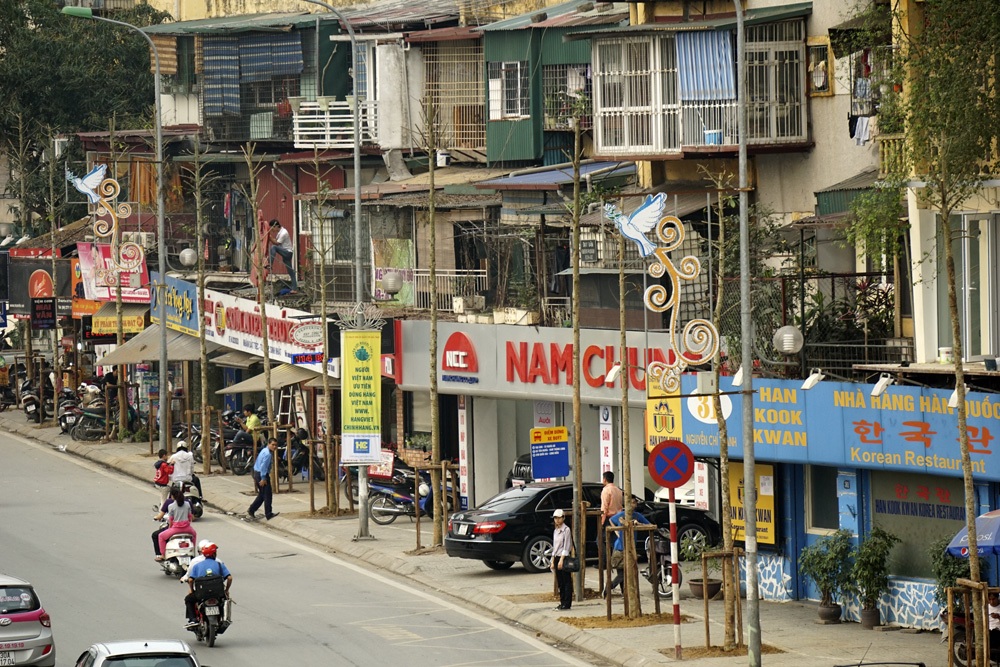 Diện mạo mới một đoạn phố Nguyễn Chí Thanh sau khi được trồng loạt cây mới.