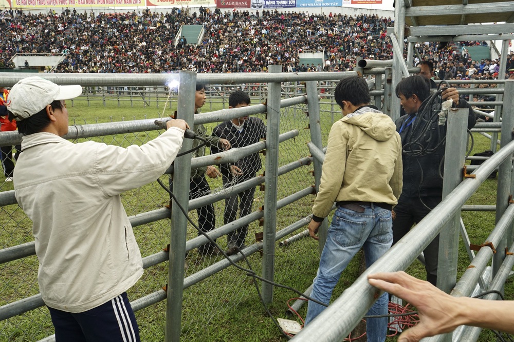 Một đòn đánh khác khá phổ biến là khóa sừng để quật ngã đối thủ.