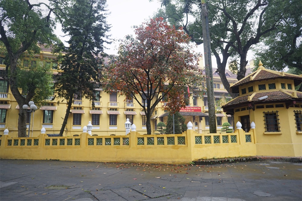 Những "mầm đỏ" trong tiết trời mưa phùn ảm đạm của Hà Nội - 6 Màu lá đỏ trong không gian chật hẹp của phố Hà Nội.
