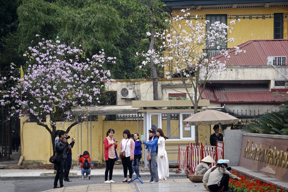 Một thoảng Tây Bắc trong lòng Hà Nội
