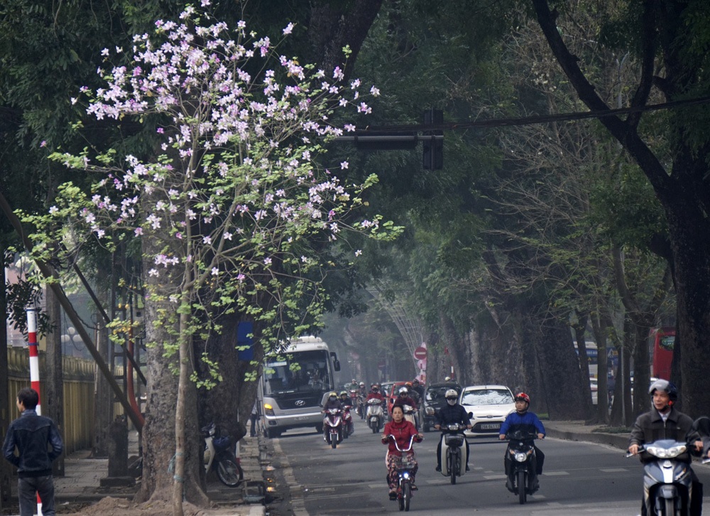 Một thoảng Tây Bắc trong lòng Hà Nội