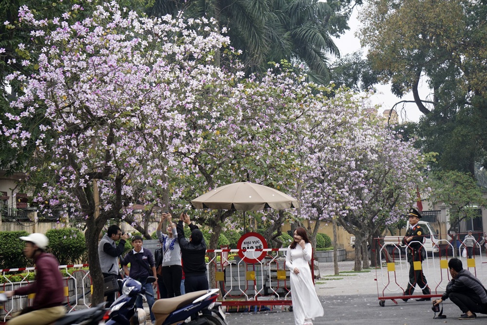 Một thoảng Tây Bắc trong lòng Hà Nội