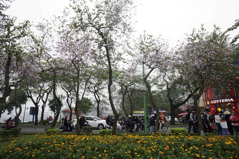 Một thoảng Tây Bắc trong lòng Hà Nội