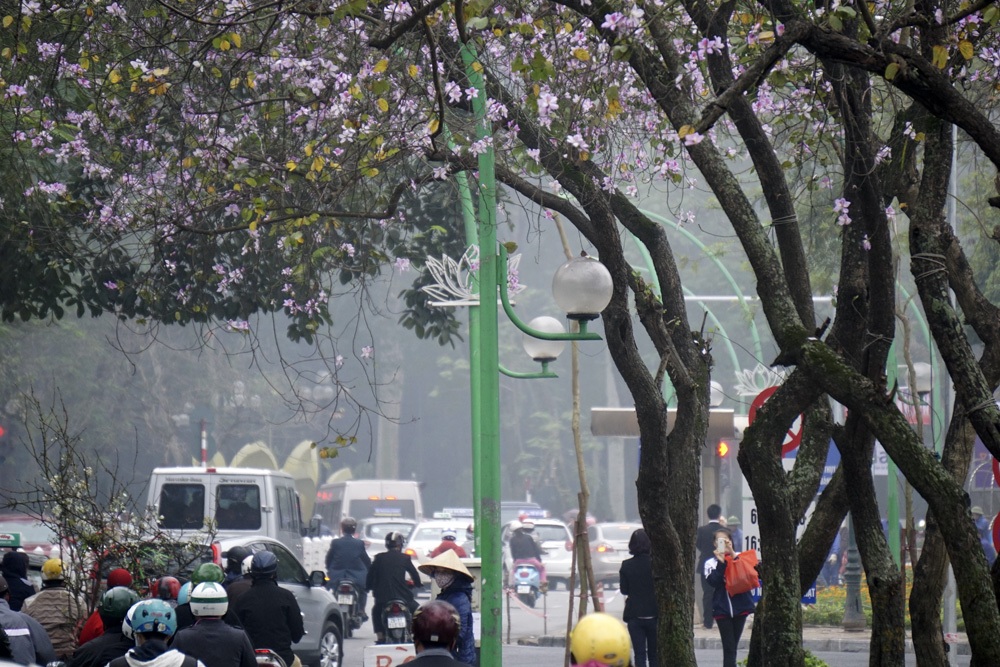 Một thoảng Tây Bắc trong lòng Hà Nội