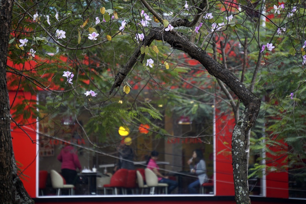 Một thoảng Tây Bắc trong lòng Hà Nội