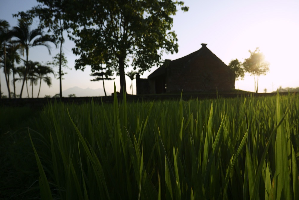 Đình Mông Phụ được xây dựng trên khu đất cao nhất làng rộng khoảng 1.800 m2 hướng về phía Tây Nam.