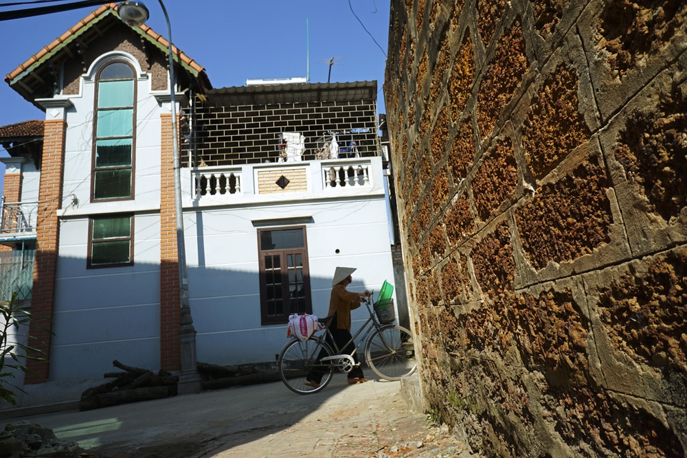 Theo BQL di tích làng cổ Đường Lâm trong năm 2014 có 40 hộ xây nhà cao tầng mới.