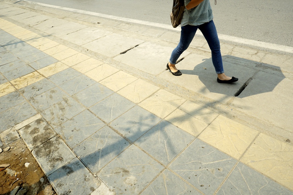 Cây nhỏ, chưa có lá không cho bóng mát.