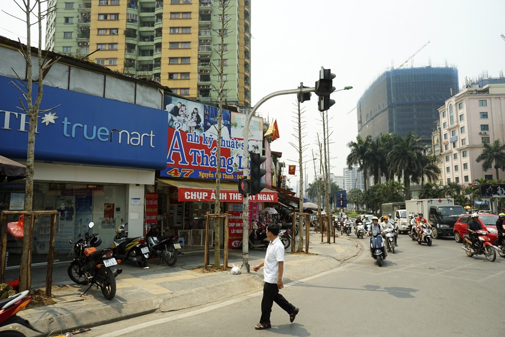 Cây nhỏ, chưa có lá không cho bóng mát.