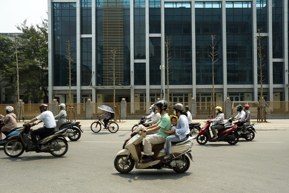 Những cây được cho là vàng tâm khẳng khiu giữa trưa hè.