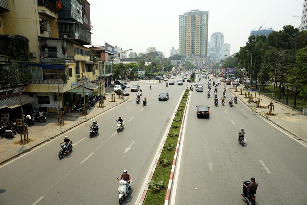 Những cây được cho là vàng tâm khẳng khiu giữa trưa hè.