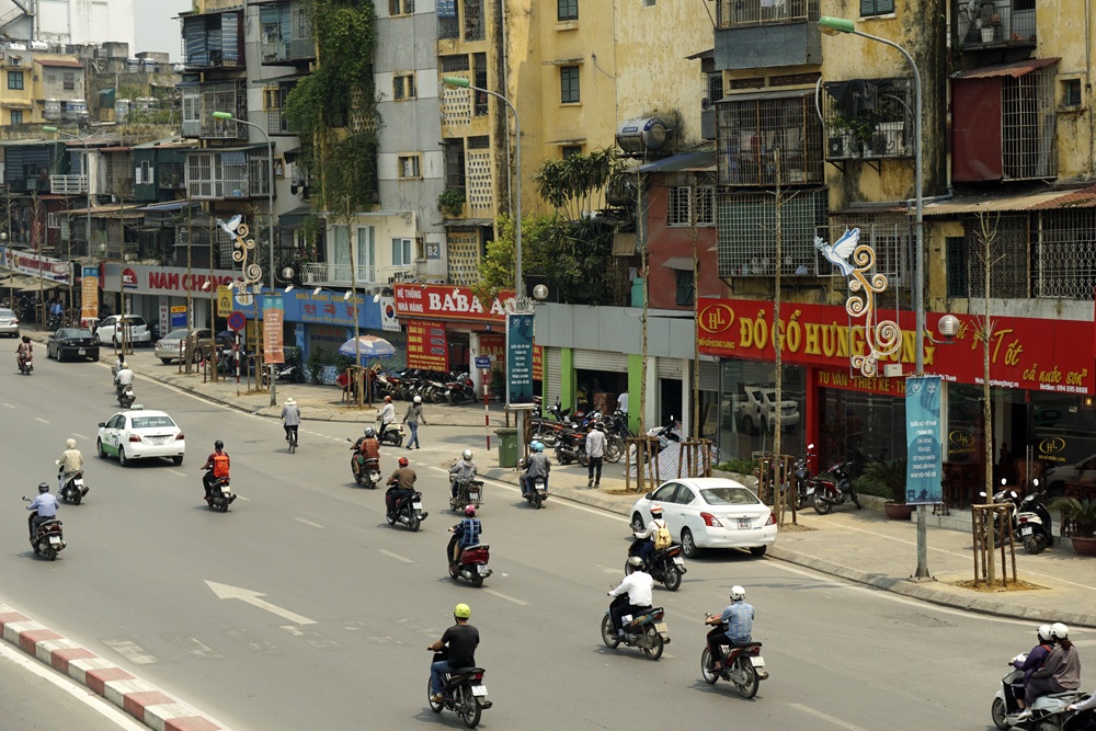 Những cây được cho là vàng tâm khẳng khiu giữa trưa hè.