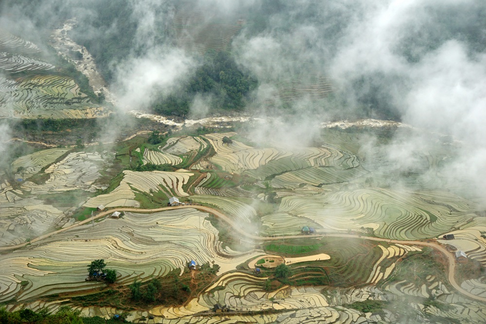 Những thửa ruộng “đỏng đảnh” giữa lưng chừng trời