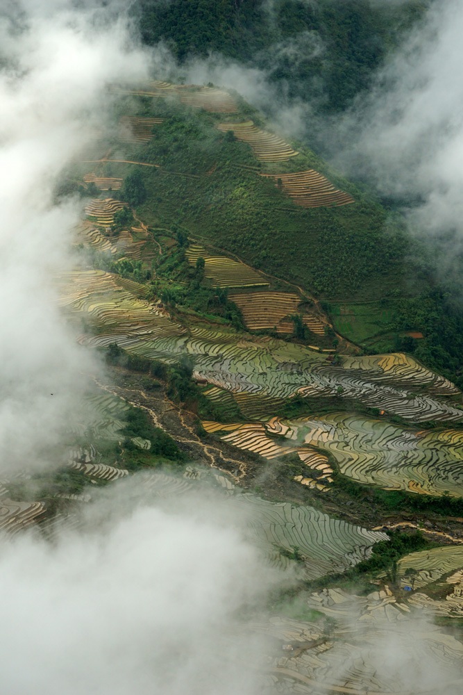 Một cánh đồng đang tích nước của xã Ngải Thầu thay đổi màu sắc khi trời hửng nắng.