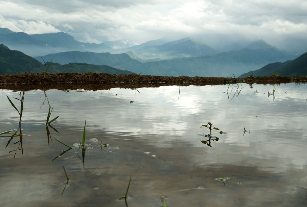 Thửa ruộng của xã Dền Sáng đã được tích đầy nước sau những cơn mưa.