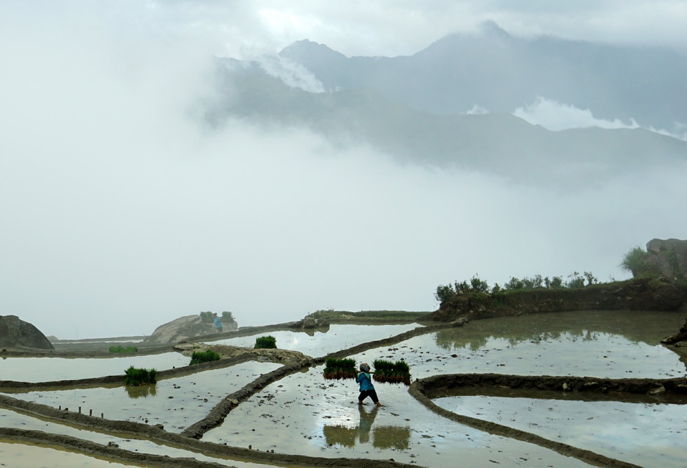 Một thửa ruộng lấp lánh dưới nền trời xanh, phía sau là dãy núi nằm trên đất Trung Quốc.