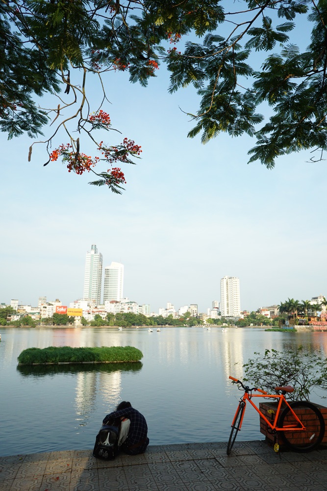 Hà Nội: Phượng vĩ rực rỡ dưới nắng hè - 5 Những không gian lãng mạn cùng với màu đỏ hoa phượng.