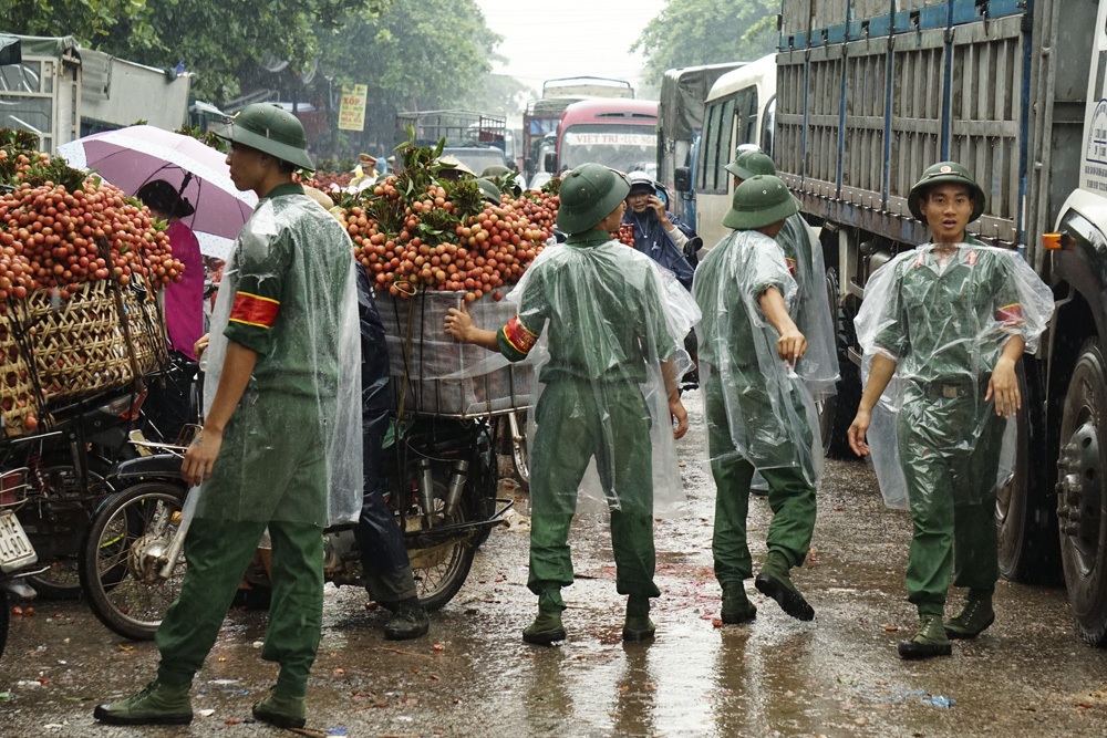 Khi người lính giúp bà con chiến đấu với... vải thiều