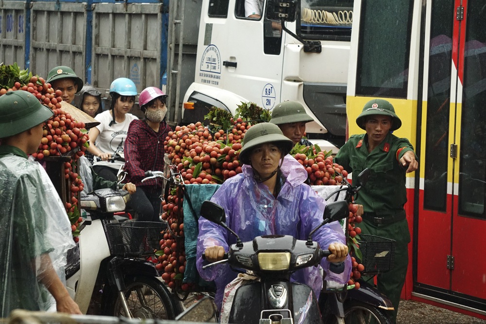 Khi người lính giúp bà con chiến đấu với... vải thiều