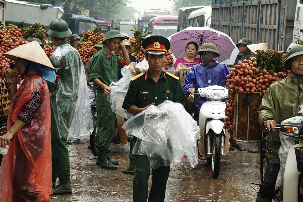 Khi người lính giúp bà con chiến đấu với... vải thiều