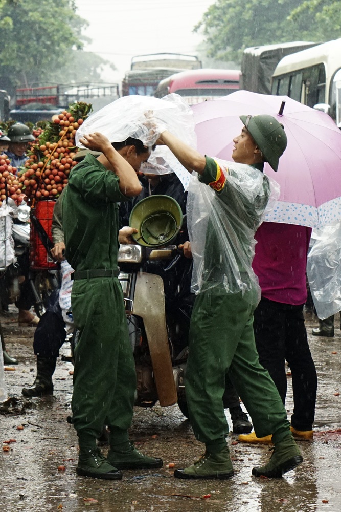Khi người lính giúp bà con chiến đấu với... vải thiều
