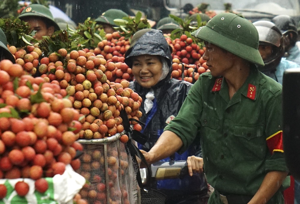 Khi người lính giúp bà con chiến đấu với... vải thiều