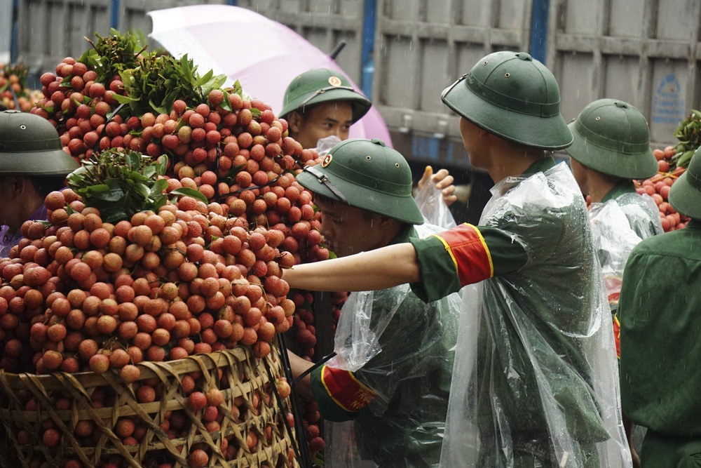Khi người lính giúp bà con chiến đấu với... vải thiều