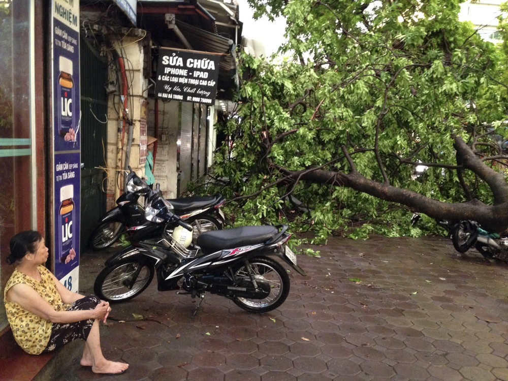 Hà Nội ngổn ngang sau trận mưa gió lạ thường - 10 Cây đổ rất nhiều trên phố Hai Bà Trưng.