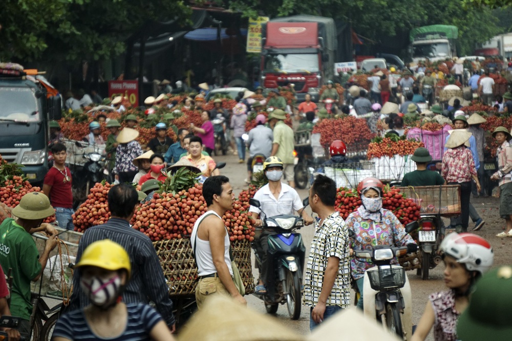 Tất cả nhường chỗ cho mùa vải!