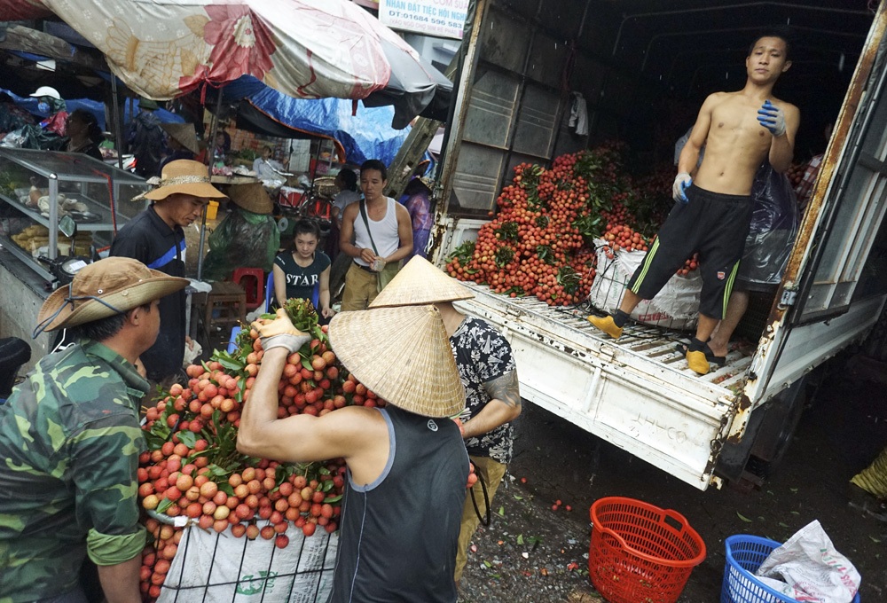 Giao thông thường xuyên ùn tắc khi bà con chở vải về bán cho các điểm thu mua tại Phố Kim.