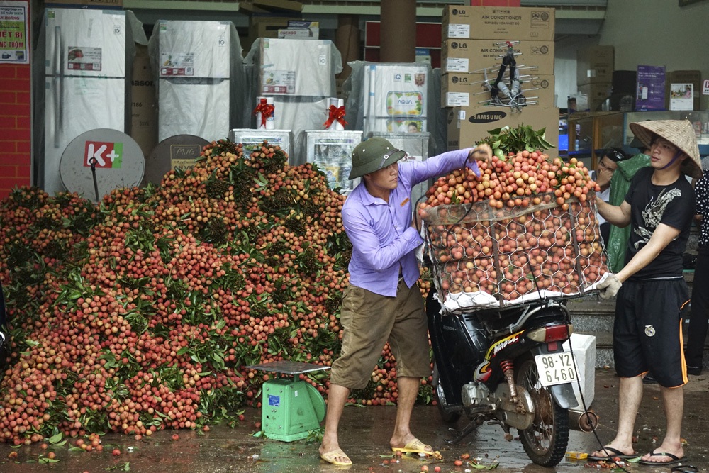 Tất cả nhường chỗ cho mùa vải!