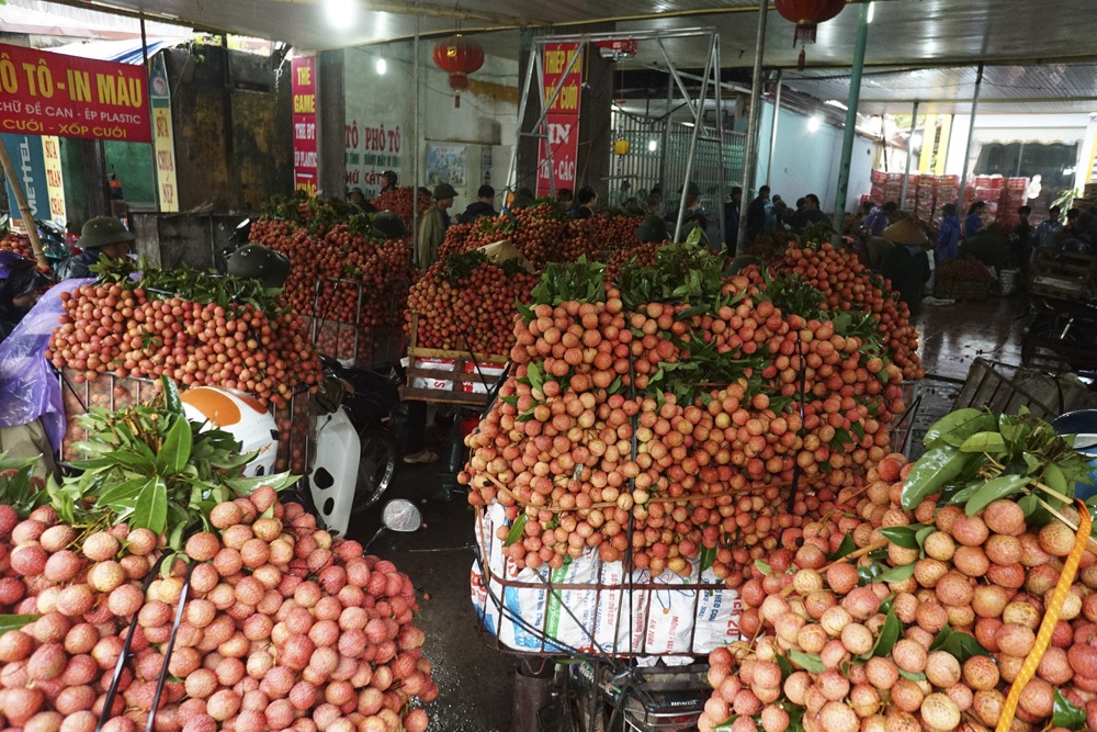 Tất cả nhường chỗ cho mùa vải!