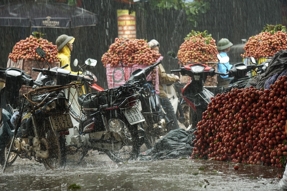 Tất cả nhường chỗ cho mùa vải!