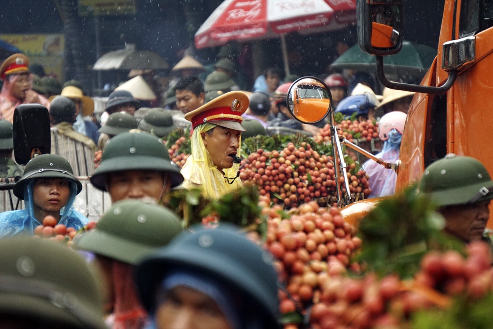 Giao thông thường xuyên ùn tắc khi bà con chở vải về bán cho các điểm thu mua tại Phố Kim.