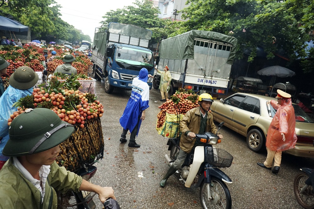 Giao thông thường xuyên ùn tắc khi bà con chở vải về bán cho các điểm thu mua tại Phố Kim.