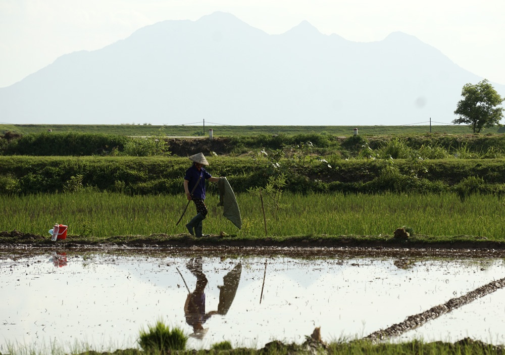 Nông dân vật vã trong nắng nóng đỉnh điểm
