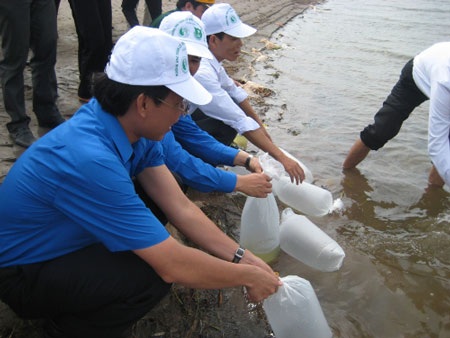 Kêu gọi bảo vệ rừng nhân ngày Môi trường thế giới - 5