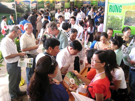 Kêu gọi bảo vệ rừng nhân ngày Môi trường thế giới - 2