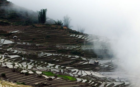 Ruộng bậc thang Ý Tý mùa cấy - 6 Ruộng bậc thang Ý Tý mùa cấy - 6