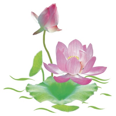 Chuẩn bị lấy ý kiến bình chọn quốc hoa khu vực miền Nam  - 1