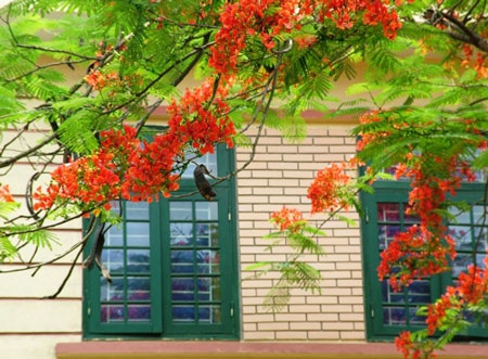 Sắc màu Hà Nội - 10 Sắc màu Hà Nội - 10