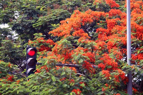 Sắc màu Hà Nội - 1 Sắc màu Hà Nội - 1