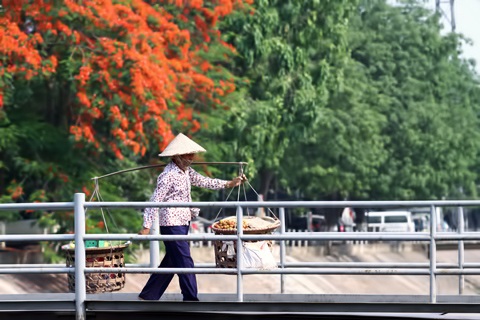 Sắc màu Hà Nội - 14 Sắc màu Hà Nội - 14