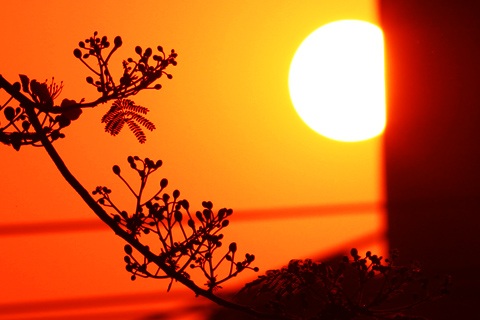 Sắc màu Hà Nội - 12 Sắc màu Hà Nội - 12