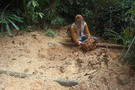 Kỳ 1: Lâm tặc lập “xưởng gỗ” giữa rừng phòng hộ - 4