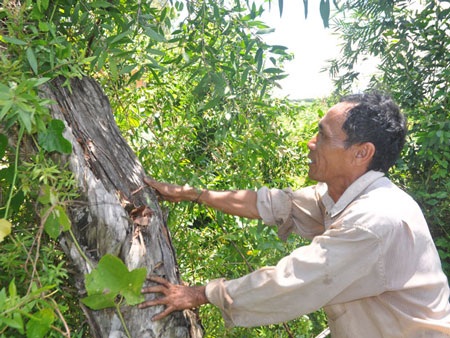 Những con kênh “Trời đánh” - 1