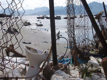 Những bãi biển “bốc mùi” - 4