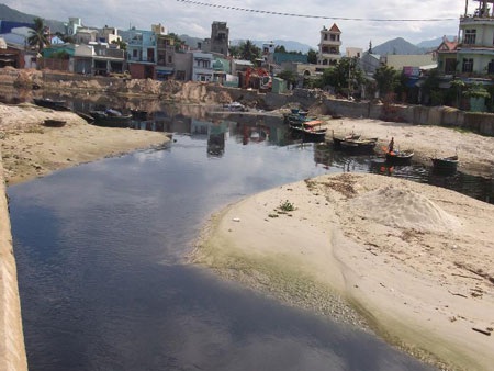 Những bãi biển “bốc mùi” - 5