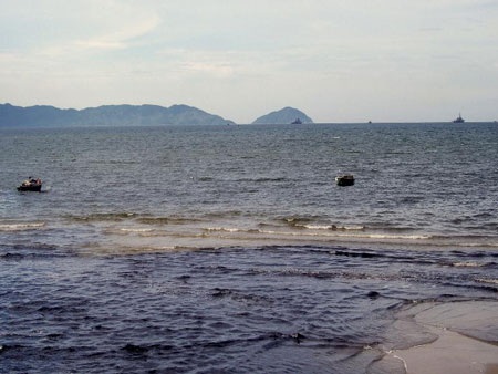 Những bãi biển “bốc mùi” - 6